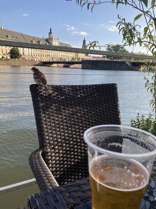 wroclaw1n0