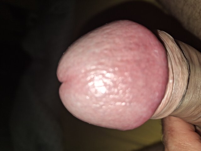 erni7878