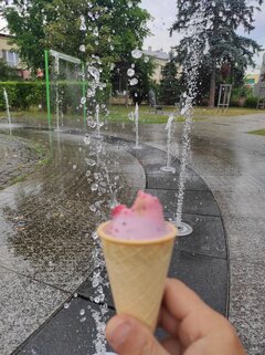 Jak środa, to wiadomo 👌