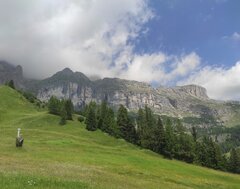 IMG_20230719_095212.jpg