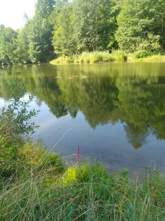 IMG_20230719_093649_579.jpg