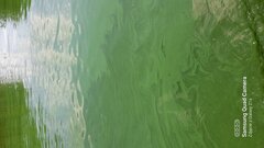 20230719_153228.jpg