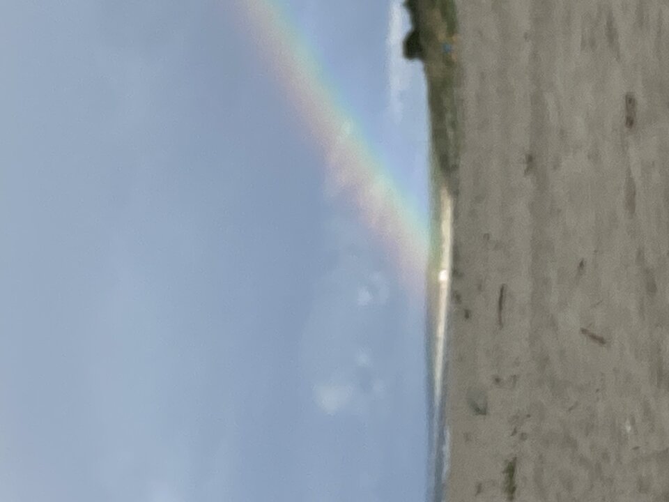 IMG_2021.jpeg - osrtowianin1967
