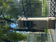 IMG_8980.jpeg