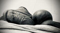 IMG_5386.jpeg