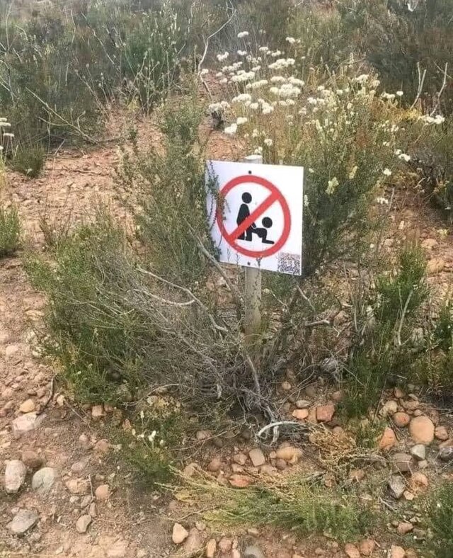 exotismforu