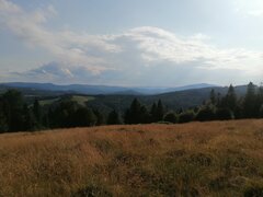 IMG_20230720_175120.jpg