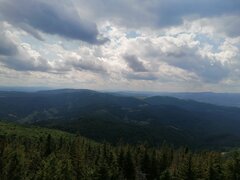 IMG_20230720_123234.jpg