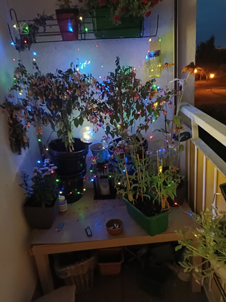 uwielbiam moj balkon wieczorami:) - Diablica41