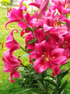 IMG_20230722_071439.jpg
