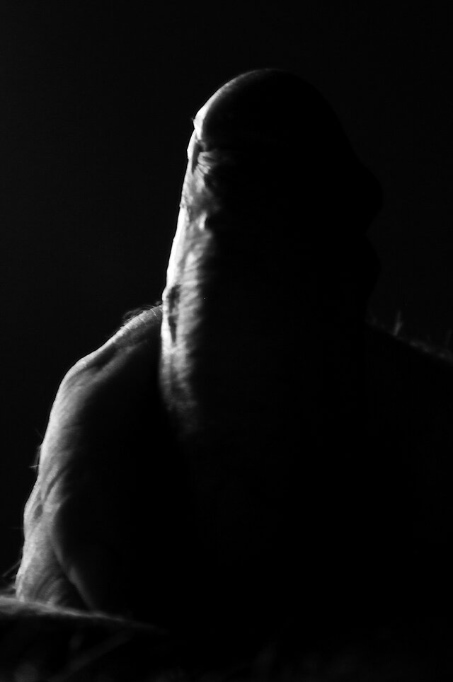 Kriss350