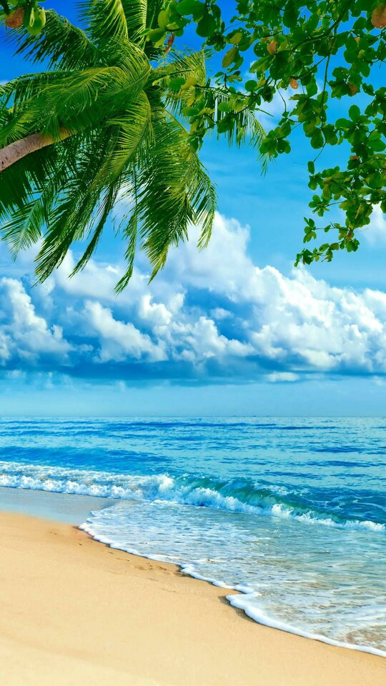 1652083004_Beautiful_Beach-2493fc2d-3f06-332e-b6a8-26109cbeac4a. - Pablo0435