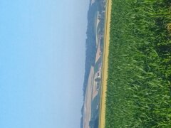 IMG_20230629_065235.jpg