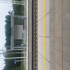 20230723_140538.jpg