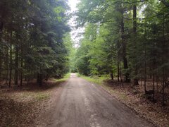 IMG_20230723_140444849.jpg