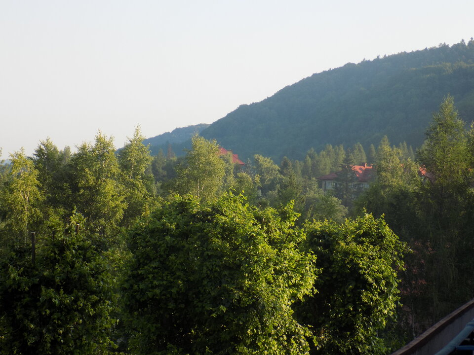 DSCN4294.JPG - Dyskretny53