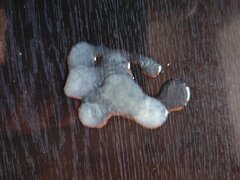 IMG20230722201637.jpg