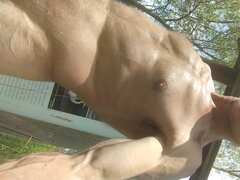 IMG_20230724_132654.jpg