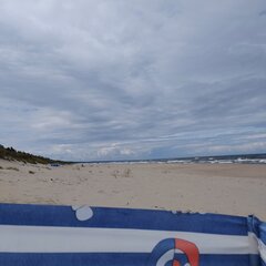 IMG_20230726_105155.jpg