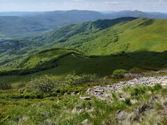 IMG_20190601_143250.jpg