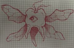 IMG_9239.jpeg