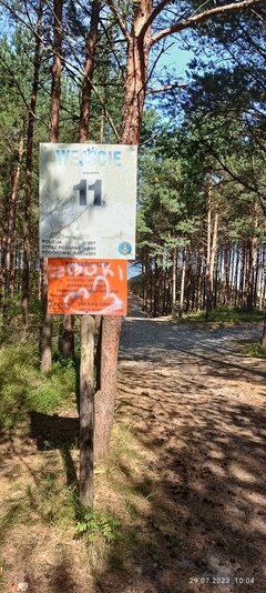 Piaski 2023