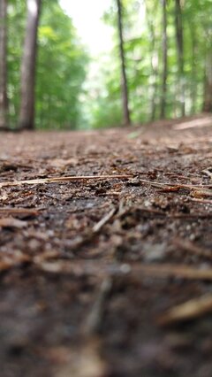 IMG_20230730_142935.jpg