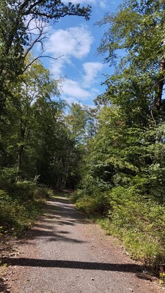IMG_20230730_160609.jpg