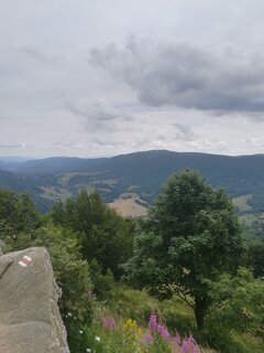 IMG_20230721_131716.jpg