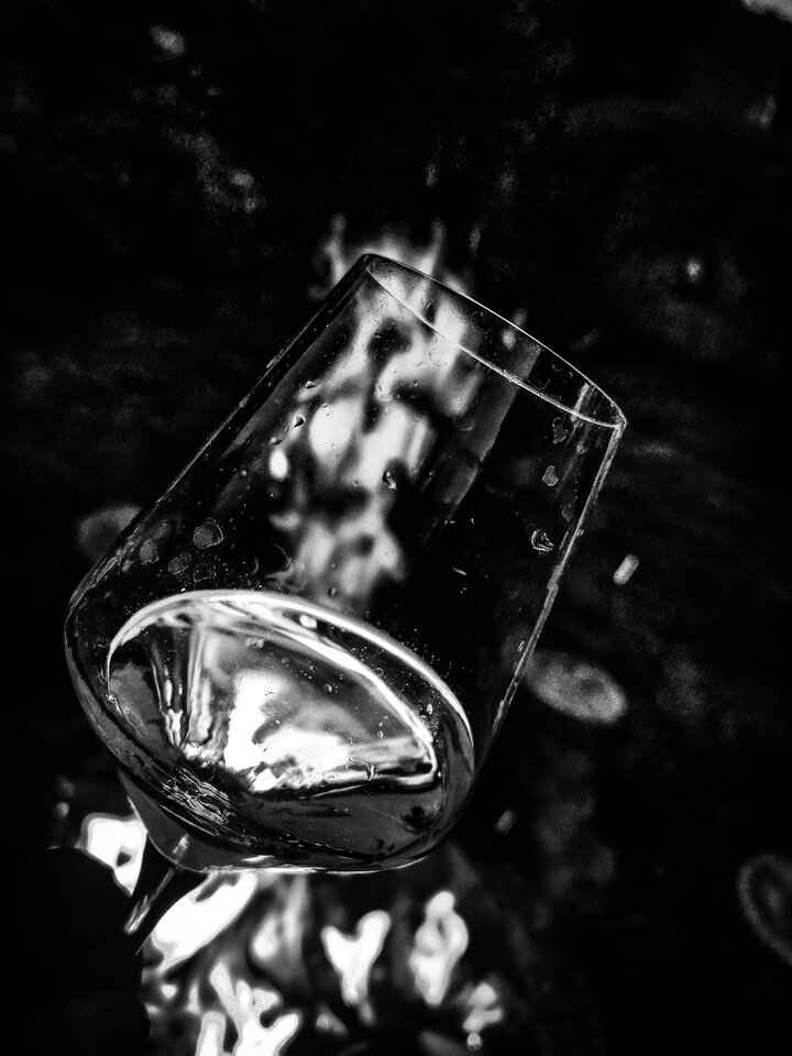 PSX_20230731_093958.jpg - Wino69