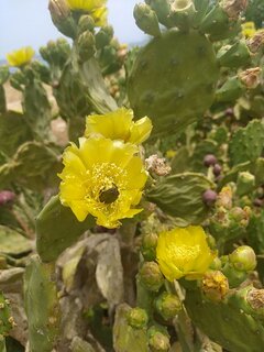 IMG_20230601_124515.jpg