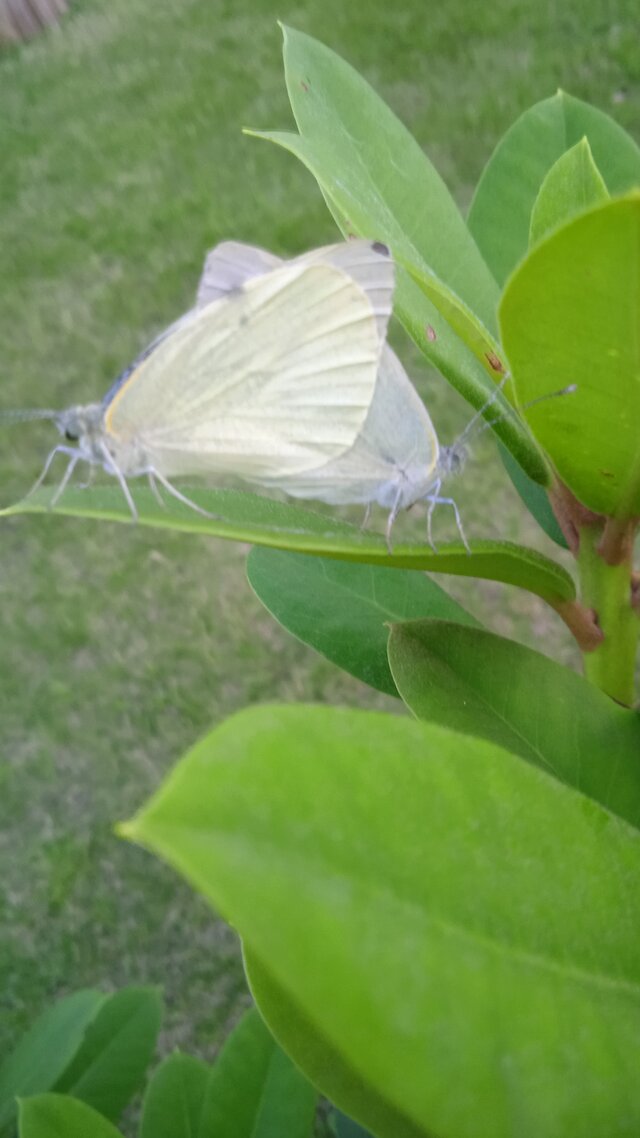 FajnaParaTriCity