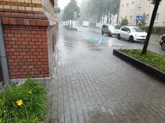 IMG_20230801_134955.jpg