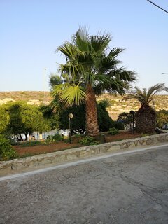 IMG_20230725_193836.jpg