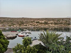 IMG_20230725_203203.jpg