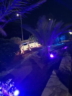 IMG_20230728_225243.jpg