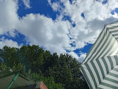 IMG20230802125230.jpg