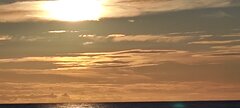 IMG_20230801_201814.jpg