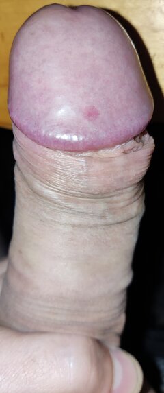 IMG_20230801_151306.jpg