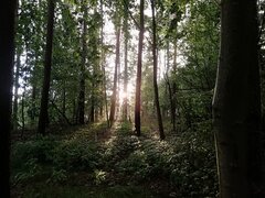 IMG_20230803_195156.jpg