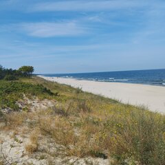 IMG_20230729_101117.jpg