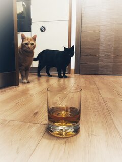 IMG_2341.jpeg