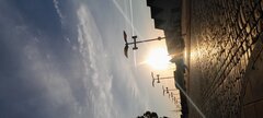 20230805_061420.jpg