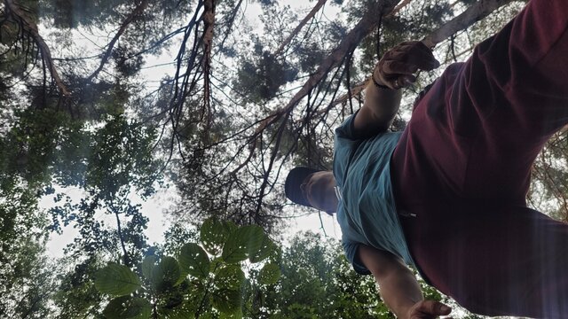 CrazyDevil82