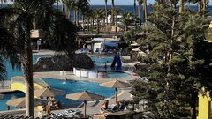 IMG_2491.jpeg
