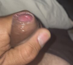 IMG_2515.jpeg