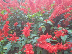 20221016_141142.jpg