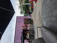 20230805_170523.jpg