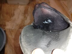 IMG_20230808_214740.jpg