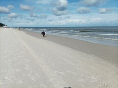 IMG_20230809_095007.jpg